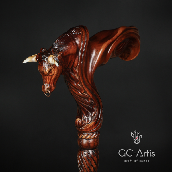 Ergonomic Handle Canes - GC-Artis Walking Sticks Canes