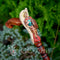 Hand painted Wooden Walking Stick Cane Saint Archangel Michael