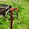 Wooden Cane Walking Stick Horse with Saddle