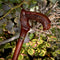 GRACE Elegant Wooden Walking Cane - Dark