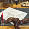 Dragon Ergonomic Palm Grip Handle Cane wooden walking stick
