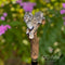 Black Panther Cougar Cat - Light Wooden Walking Cane Stick