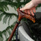 Wooden Cane Walking Stick Bald Eagle - Wood Carved Cane, Handpainted handle, Decorated Brass collar, Patriotic Style for man woman