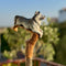 Wooden Cane Walking Stick Husky: hand-painted dog breed designers handle