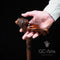 Unique Ergonomical Handle! Wooden Cane Lion Walking Stick - GC-Artis Walking Sticks Canes