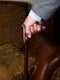 WerWolf wood & Bronze Walking Stick Cane - GC-Artis Walking Sticks Canes