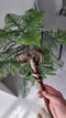 Collectible Dragon Snake Bronze Walking Stick Cane Brass Casted Artisan