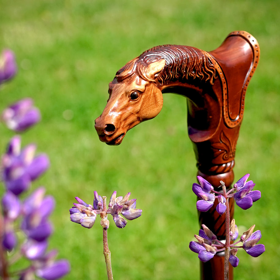 Canne de marche en bois cheval avec selle