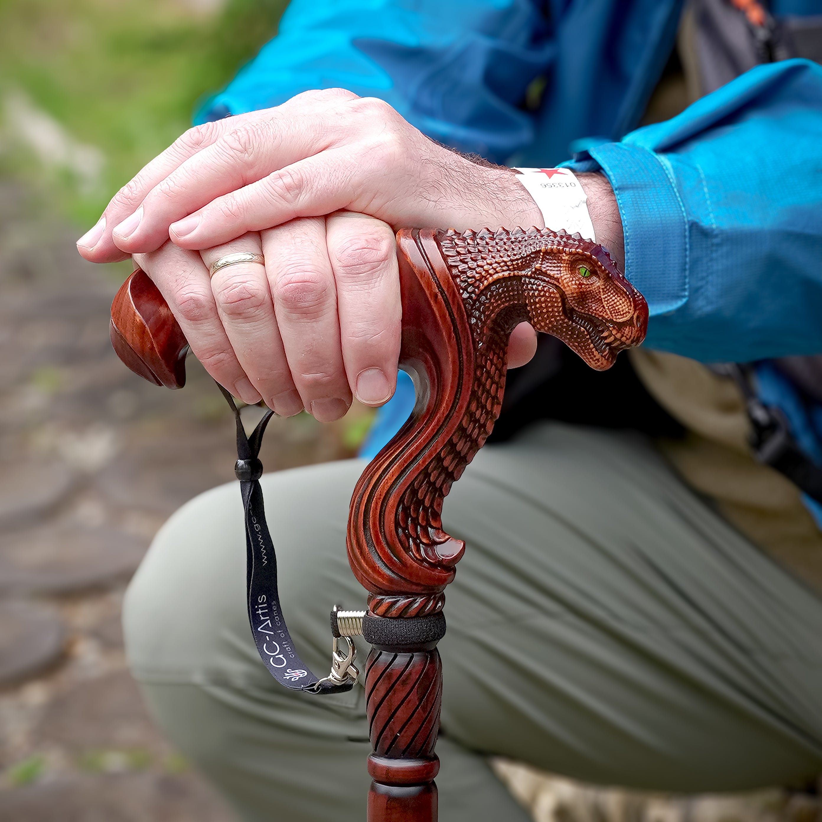 T-Rex Dinosaur Head - Ergonomic Handle Walking Stick Cane Wooden