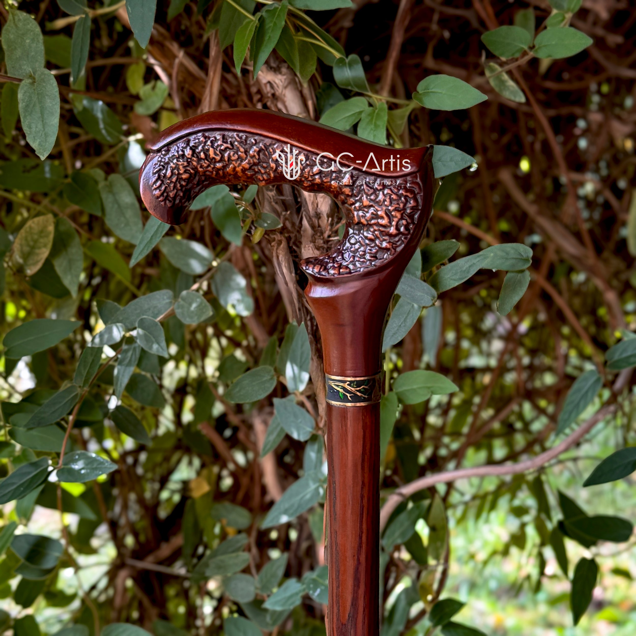 GRACE Elegant Wooden Walking Cane - Dark