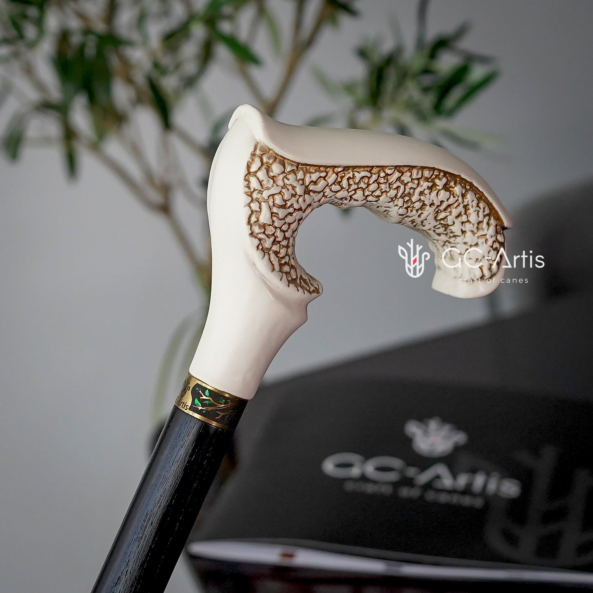 GRACE Elegant Wooden Walking Cane - White