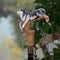 Hand-painted Wooden Cane Walking Stick - Husky dog