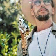 Hand-painted Wooden Cane Walking Stick - Husky dog