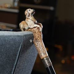 Золотистий ретрівер Лабрадор Дерев'яна тростина