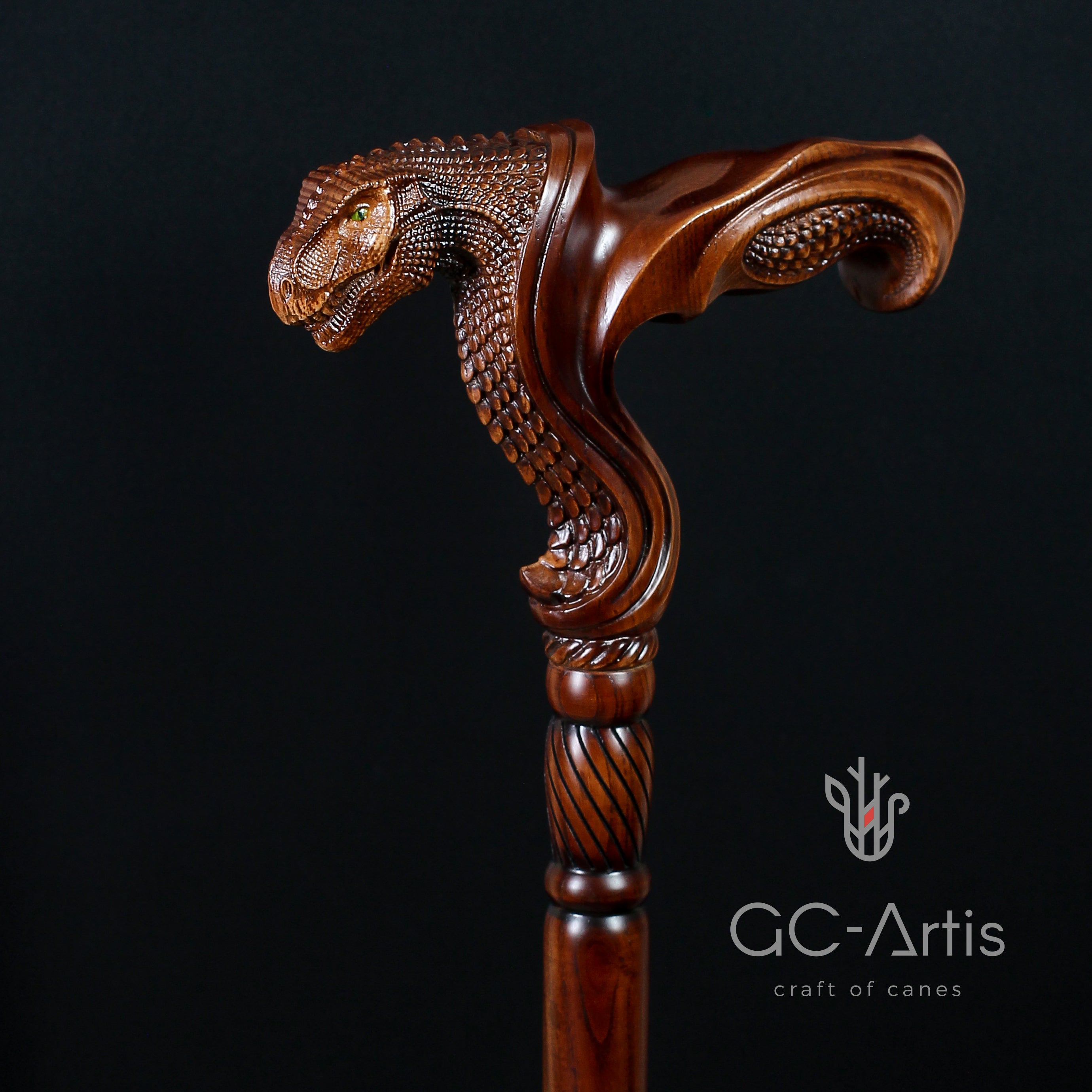 T-Rex Dinosaur Head - Ergonomical Handle Walking Stick Cane Wooden - GC-Artis Walking Sticks Canes