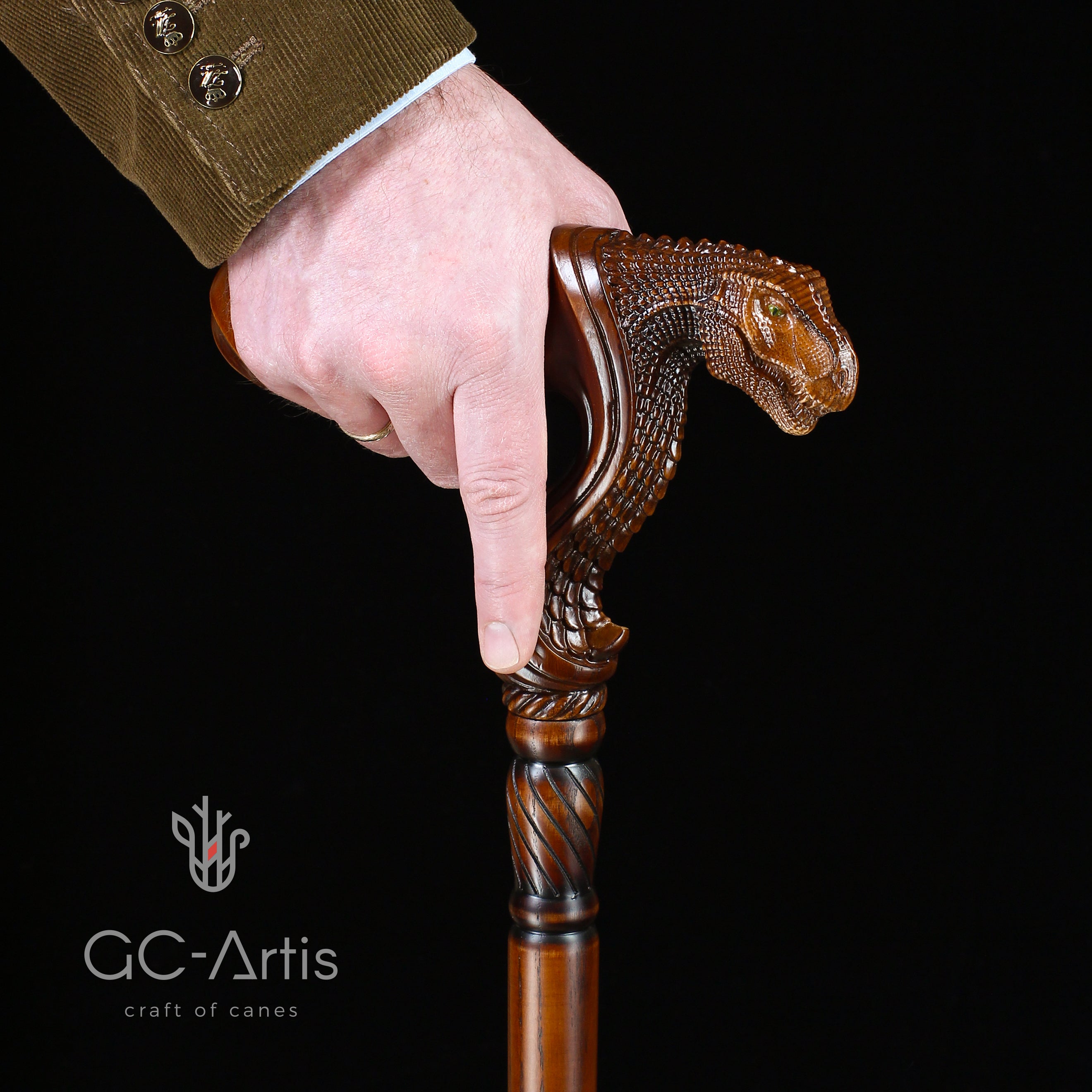T-Rex Dinosaur Head - Ergonomical Handle Walking Stick Cane Wooden - GC-Artis Walking Sticks Canes