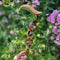 Adam and Eve Walking cane - Handpainted Paradise Apple & Snake Wooden walking stick, Holy Bible plot, Religion style Christian Pilgrim staff