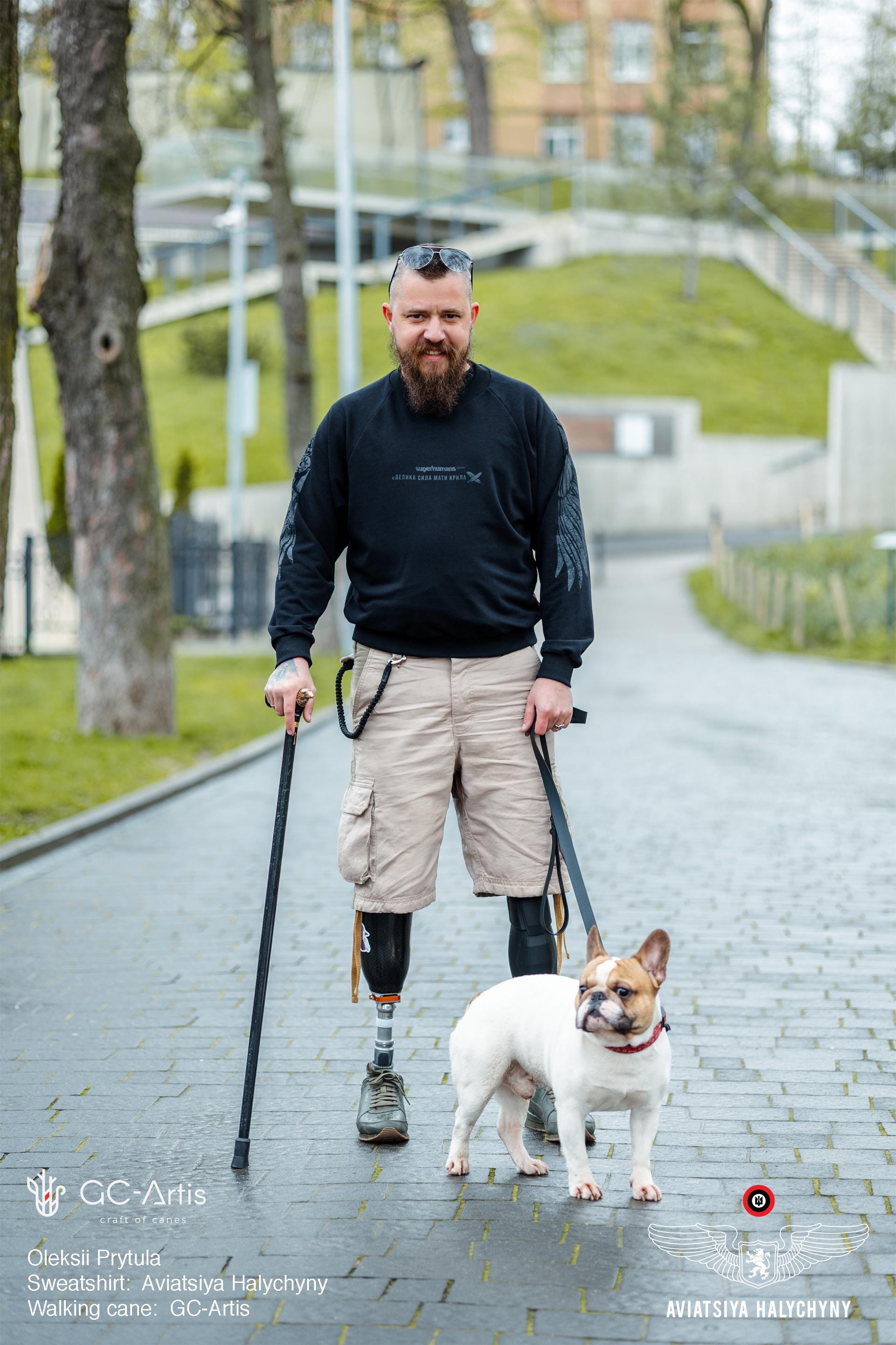 Bronze Raven Head Walking Cane - Goth Style Black Wood Walking Stick with brass decoration