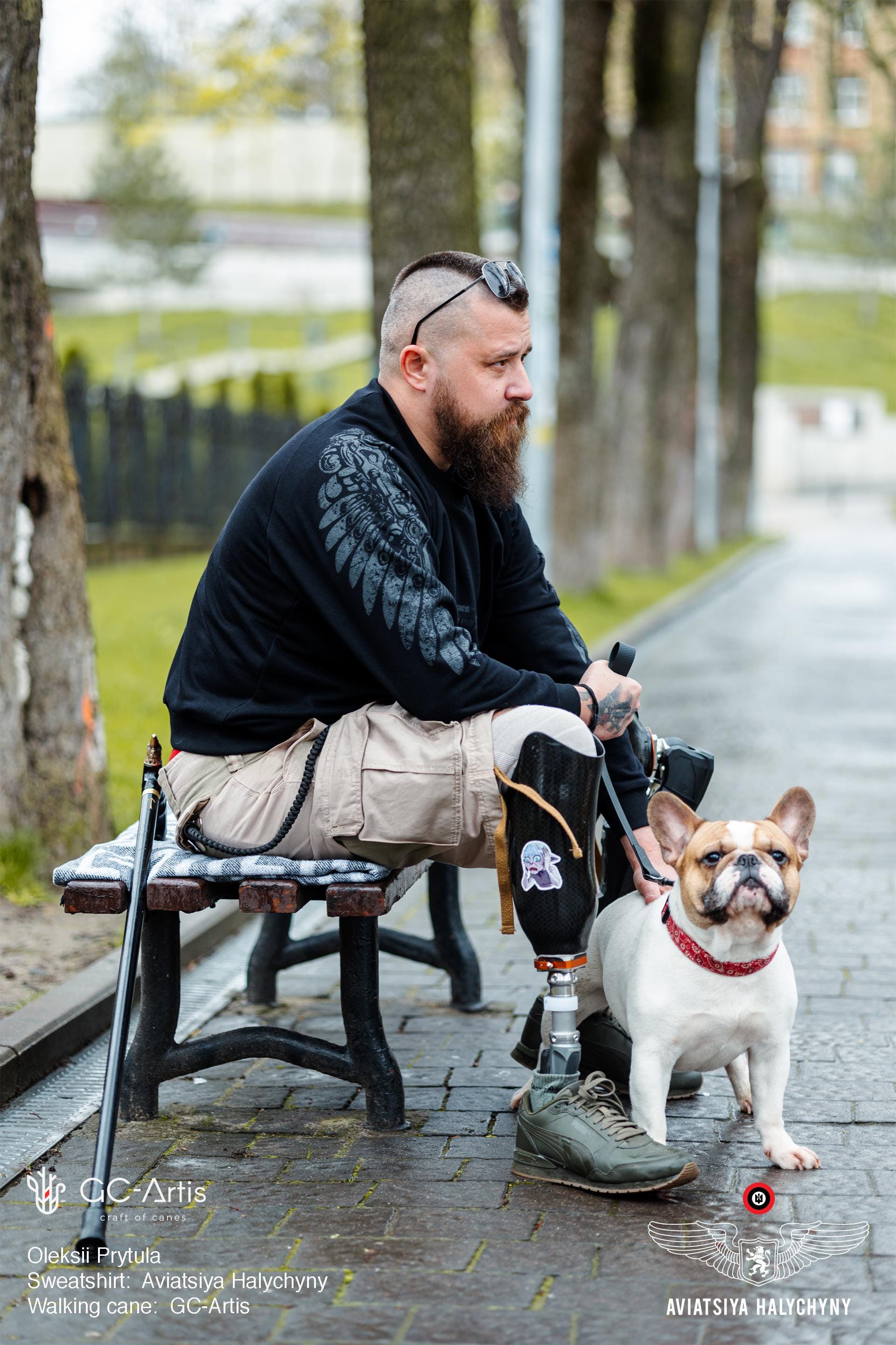 Bronze Raven Head Walking Cane - Goth Style Black Wood Walking Stick with brass decoration