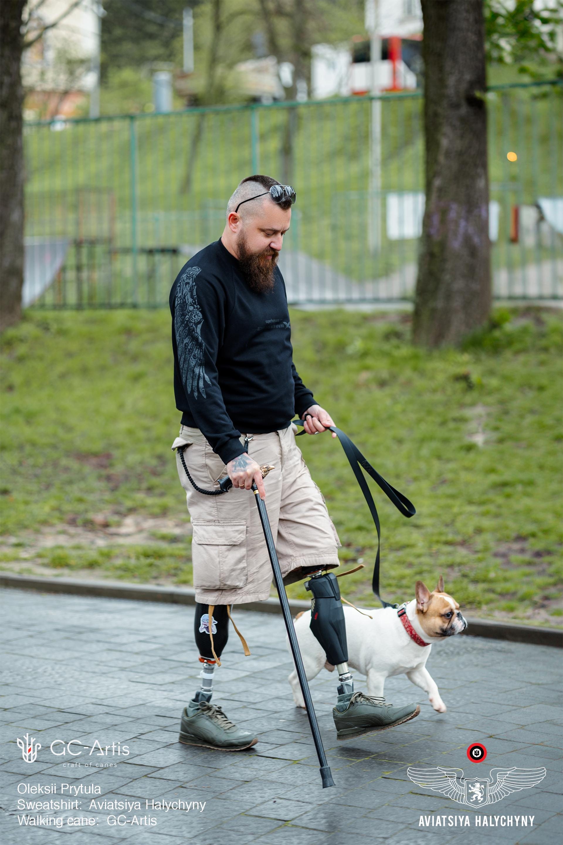 Bronze Raven Head Walking Cane - Goth Style Black Wood Walking Stick with brass decoration