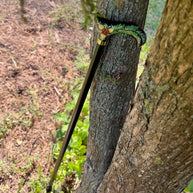 Hand Painted Walking Stick with Oak Acorns - Stylish black wooden Cane - GCArtis - Classic Wooden Canes - Bronze, wood