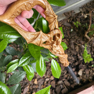 Celtic Style walking stick cane - Winged Dragon, Fairy the Tree of Life, Light Oak wood