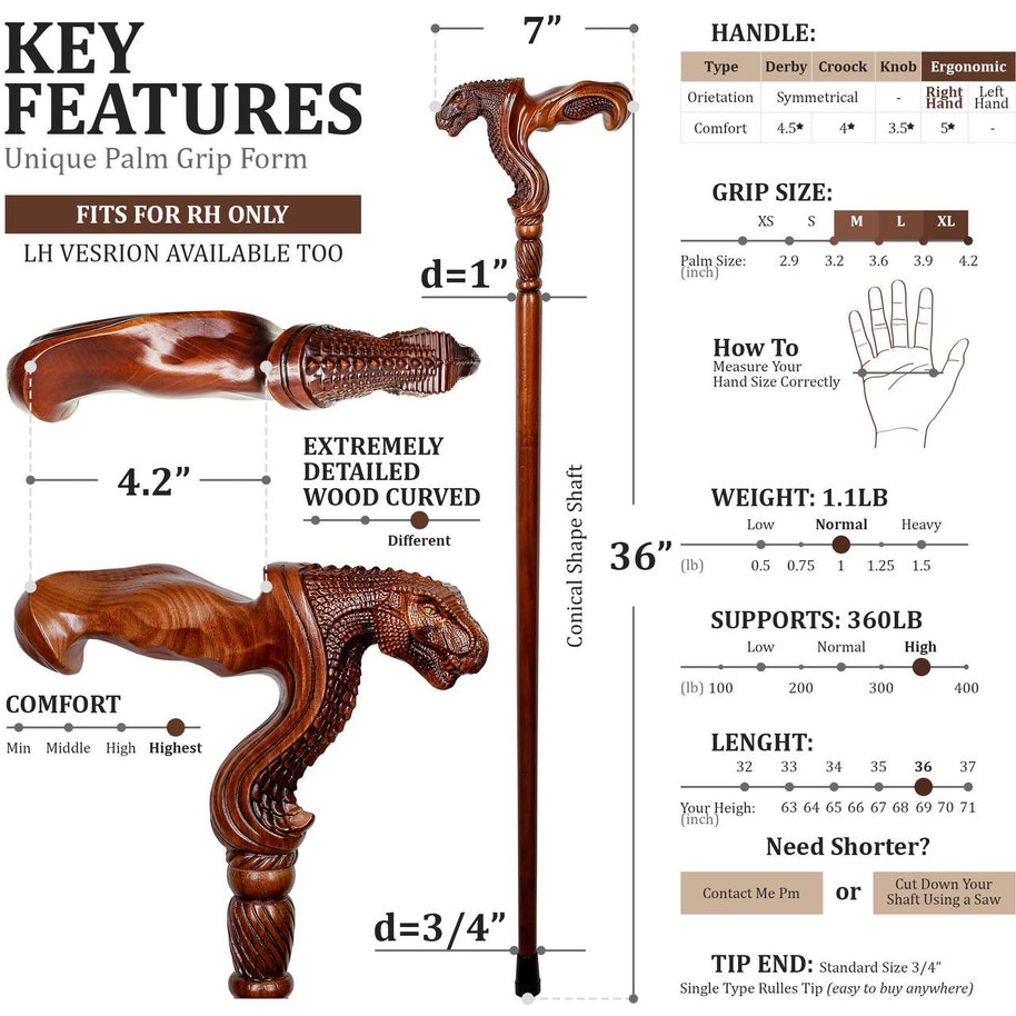 Tête de dinosaure T-Rex - Canne de marche en bois avec poignée ergonomique