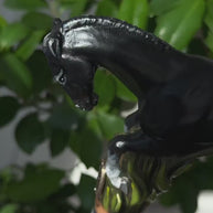 Hand Carved Horse Walking Cane – Black Painted Ash Wood Hiking Stick