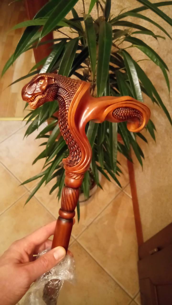 T-Rex Dinosaur Head - Ergonomical Handle Walking Stick Cane Wooden - GC-Artis Walking Sticks Canes