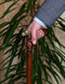 Bull Dog Solid Brass & Wood Walking Stick Cane - GC-Artis Walking Sticks Canes