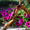 LIZARD & FLOWER Light Wooden Cane Walking Stick