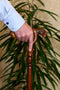 T-Rex Dinosaur Head - Ergonomical Handle Walking Stick Cane Wooden - GC-Artis Walking Sticks Canes