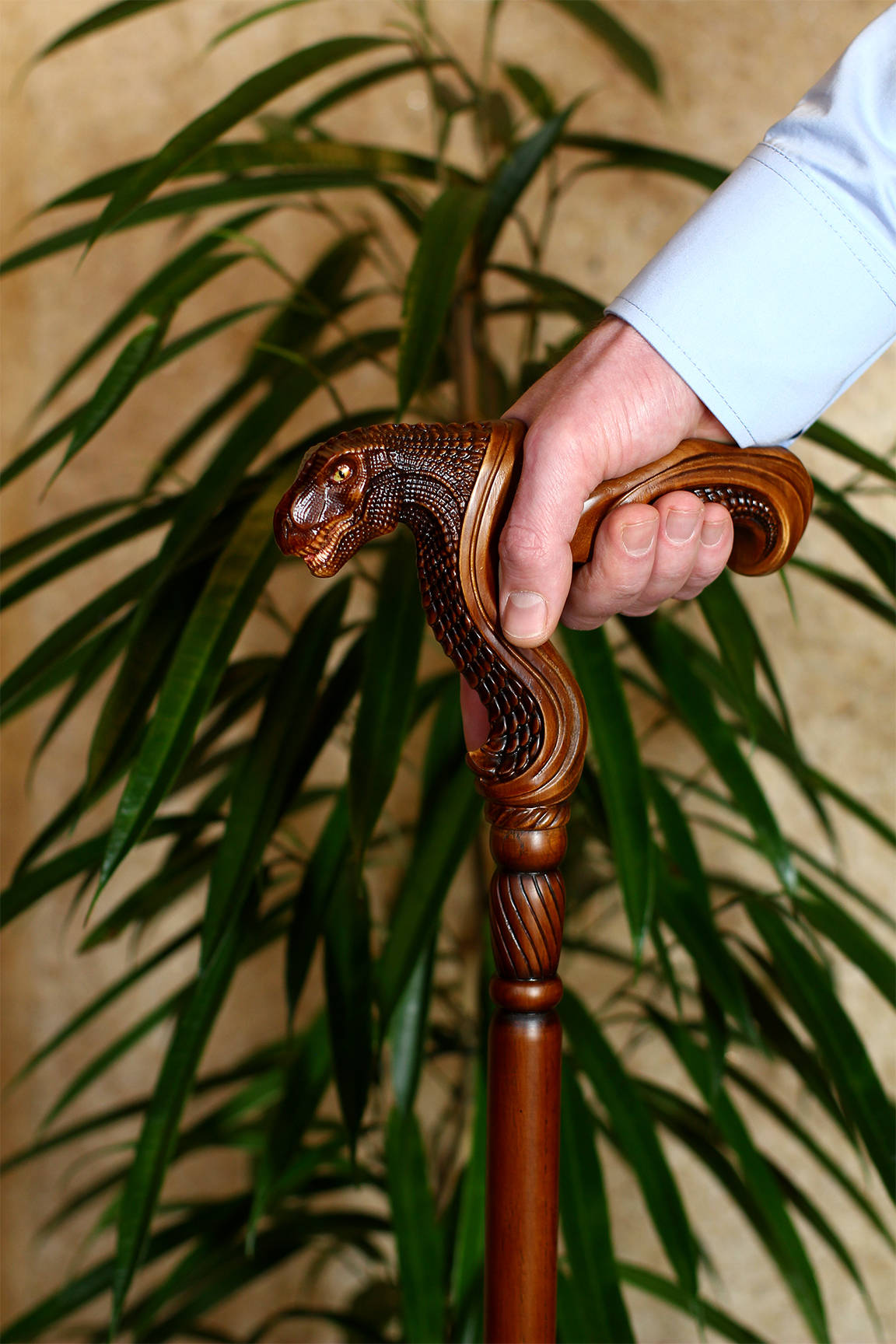 T-Rex Dinosaur Head - Ergonomical Handle Walking Stick Cane Wooden - GC-Artis Walking Sticks Canes