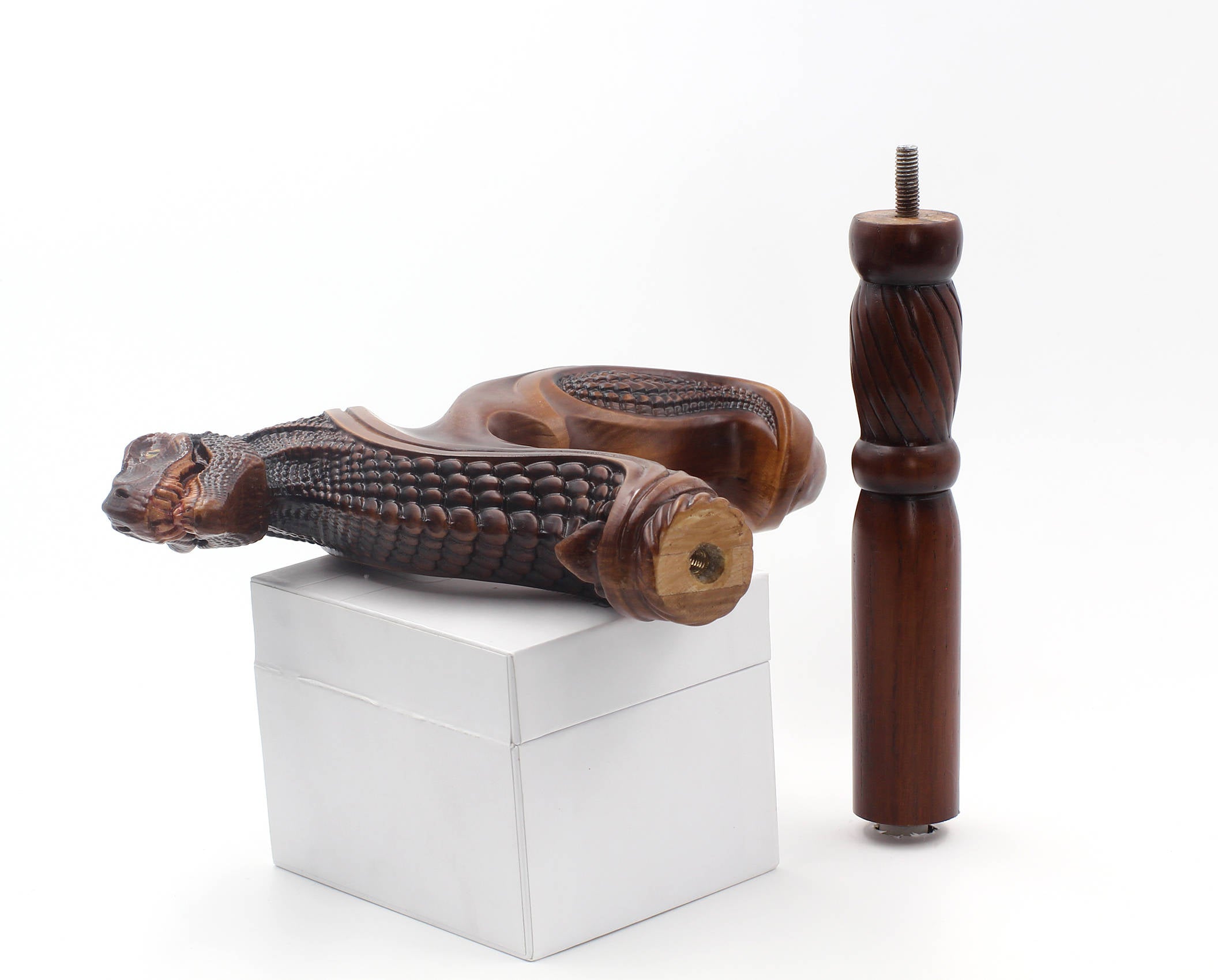 T-Rex Dinosaur Head - Ergonomical Handle Walking Stick Cane Wooden - GC-Artis Walking Sticks Canes