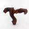 T-Rex Dinosaur Head - Ergonomical Handle Walking Stick Cane Wooden - GC-Artis Walking Sticks Canes