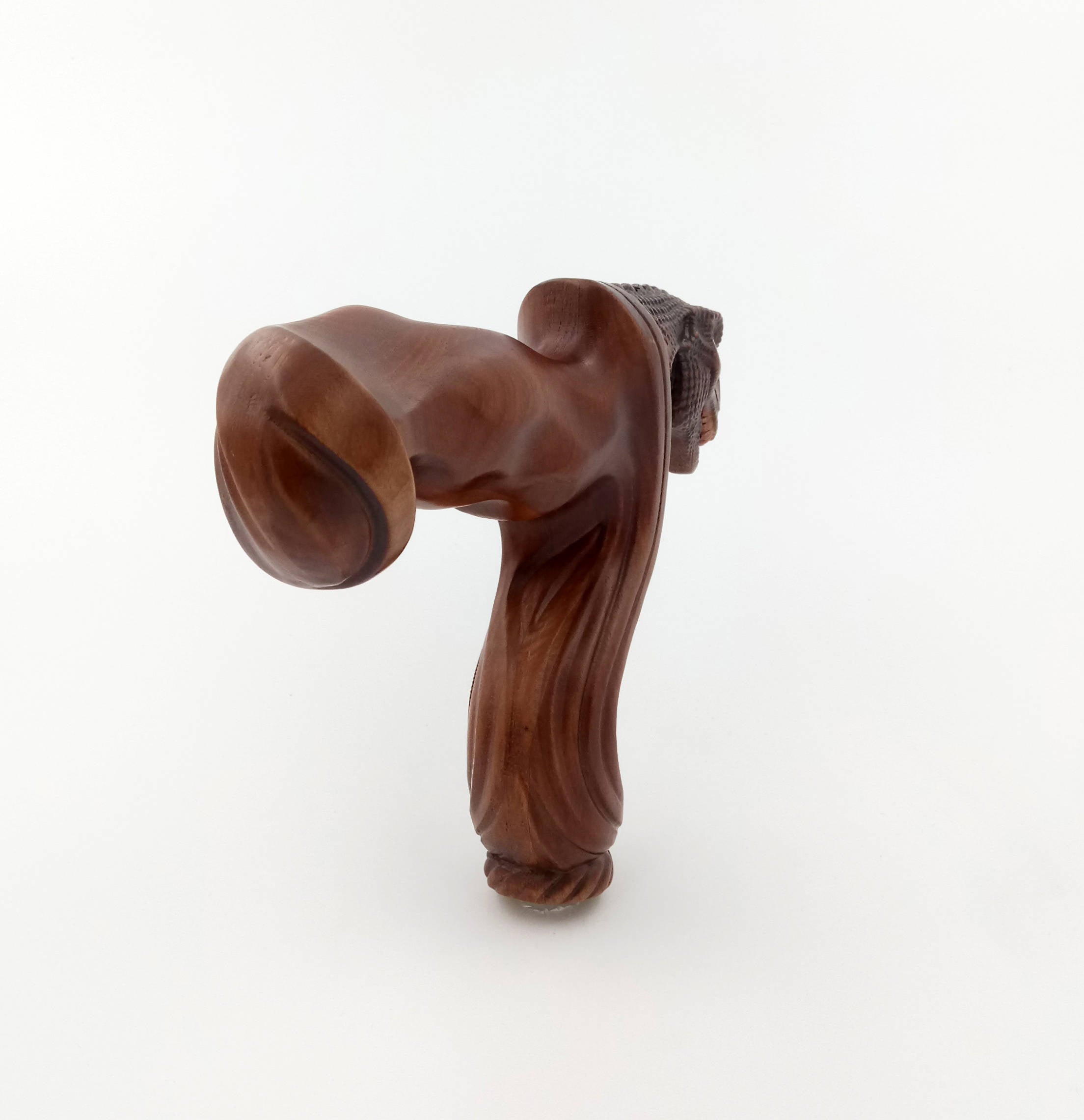 T-Rex Dinosaur Head - Ergonomical Handle Walking Stick Cane Wooden - GC-Artis Walking Sticks Canes