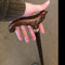 Walking stick cane Wooden cane Swallow bird walking Cane  GC-Artis Canes elegant ladies cane