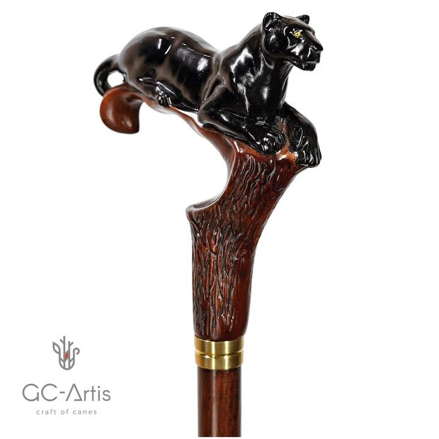 Dark Wooden Walking Cane Stick