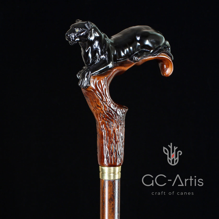 Dark Wooden Walking Cane Stick